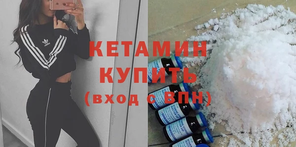 шишки Пересвет
